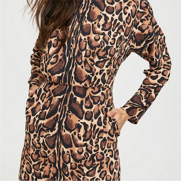 Aritzia Babaton Samson Leopard Print Shift Dress - Picture 2 of 13